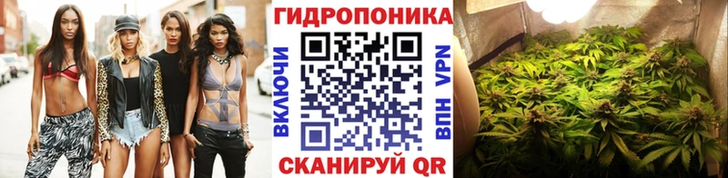 Купить закладку Гашиш  Кокаин  Меф  Магнитогорск