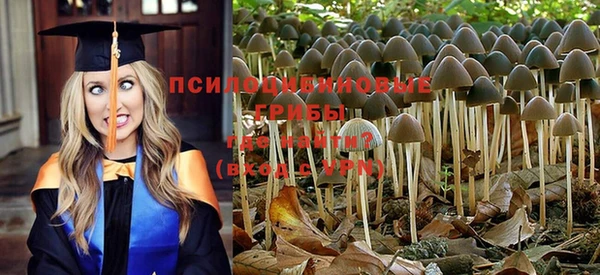 гидропоника Чегем