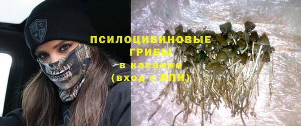 прущая мука Чердынь