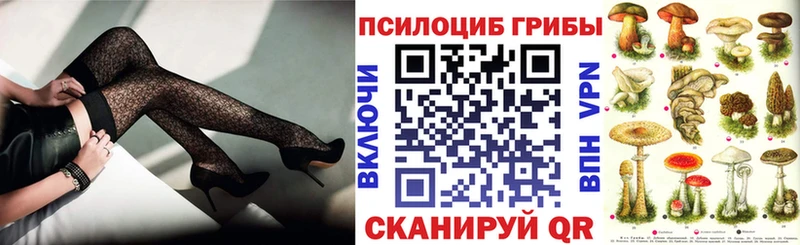 Псилоцибиновые грибы Psilocybe Магнитогорск