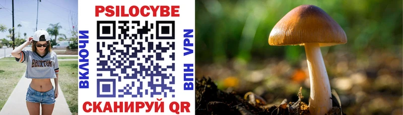 Купить где  Магнитогорск  Псилоцибиновые грибы Psilocybine cubensis 